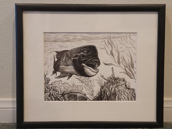 Image of Sheephead waterbrush sketch