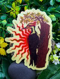 Image 1 of Pileated Woodpecker Sticker