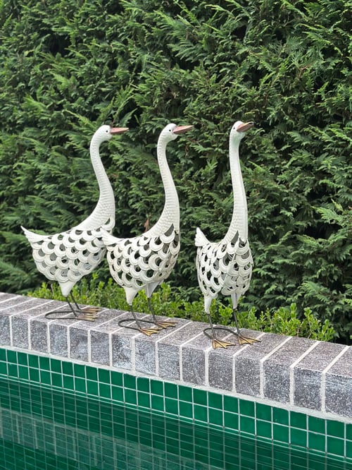 Image of Garden Duck