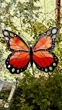 Image 4 of Spring Monarch Butterfly 