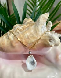 Image 2 of Oyster Shell Necklace N170