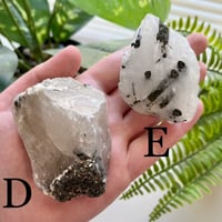 Image 3 of Green Tourmaline in Quartz Specimens 