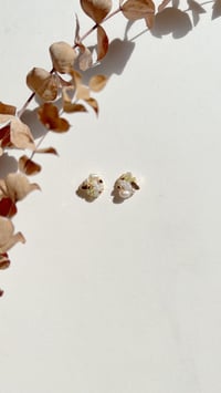 Image 2 of Pebbles (Perla)