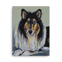 Image 2 of Intelligent Collie