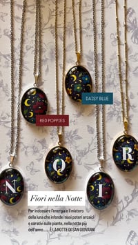 Image 2 of Cammeo Fiori nella notte 