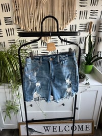 Image 1 of fashion Nova distressed denim shorts 