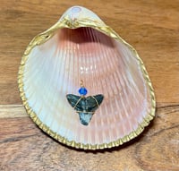 Image 2 of Shark Tooth Necklace ST101