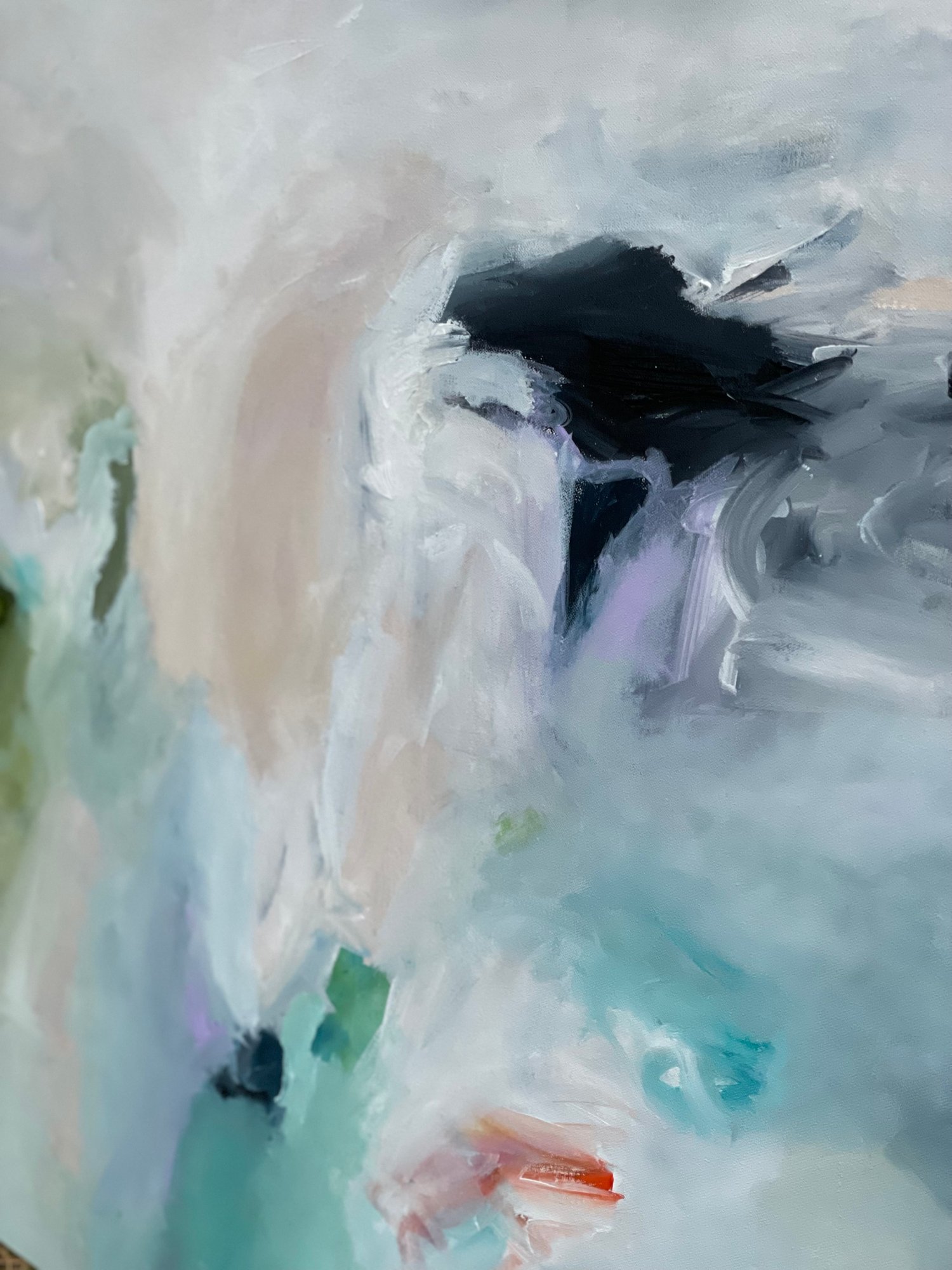 Image of ‘Toundra Arctique’ Arctic Tundra