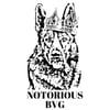 Notorious BVG