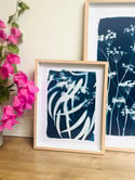 A4 original gum leaf cyanotype 