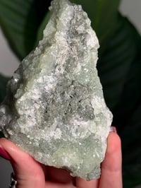 Image 3 of BOWTIE PREHNITE -INDIA- E