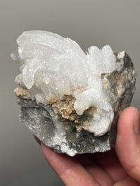 Image 8 of Ram’s Horn Selenite, Gypsum Specimen | Guizhou China #3048