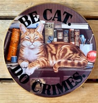Image 1 of be cat