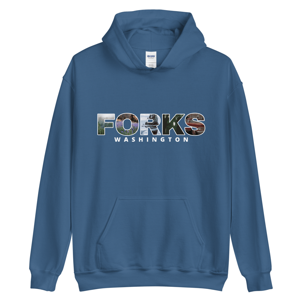 FORKS, WA aesthetic hoodie | titmoas