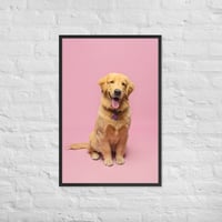 Image 1 of Framed Poster