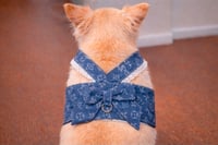 Image 1 of 🐕 Denim Harness XL