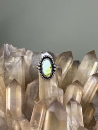 Image 1 of Palomino Variscite Ring Size 4