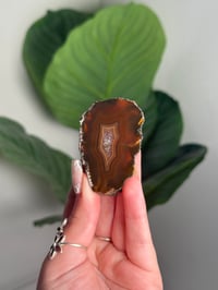 MOODY CONDOR AGATE -ARGENTINA- #24