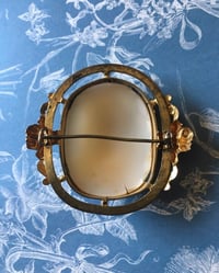 Image 5 of Magnifique camée en coquillage, 19eme siècle.Profil féminin, broche grande taille (4,7x5,5cm)