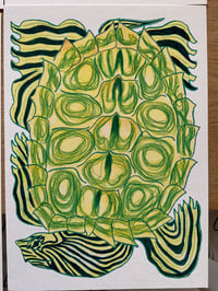 Image 2 of X4 Pack Turtles Prints