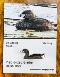 Image 1 of Pied-billed Grebe - No.161 - UK Birding Pins