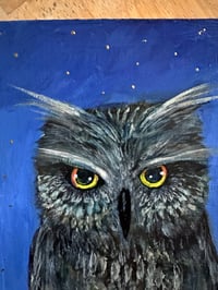 Image 2 of Acrylic Oil and Graphite painting on Wood “Owl in Starlight” by Sheila Cameron copy copy