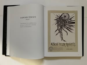 Image of INDIVISIBLE PROJECT 270