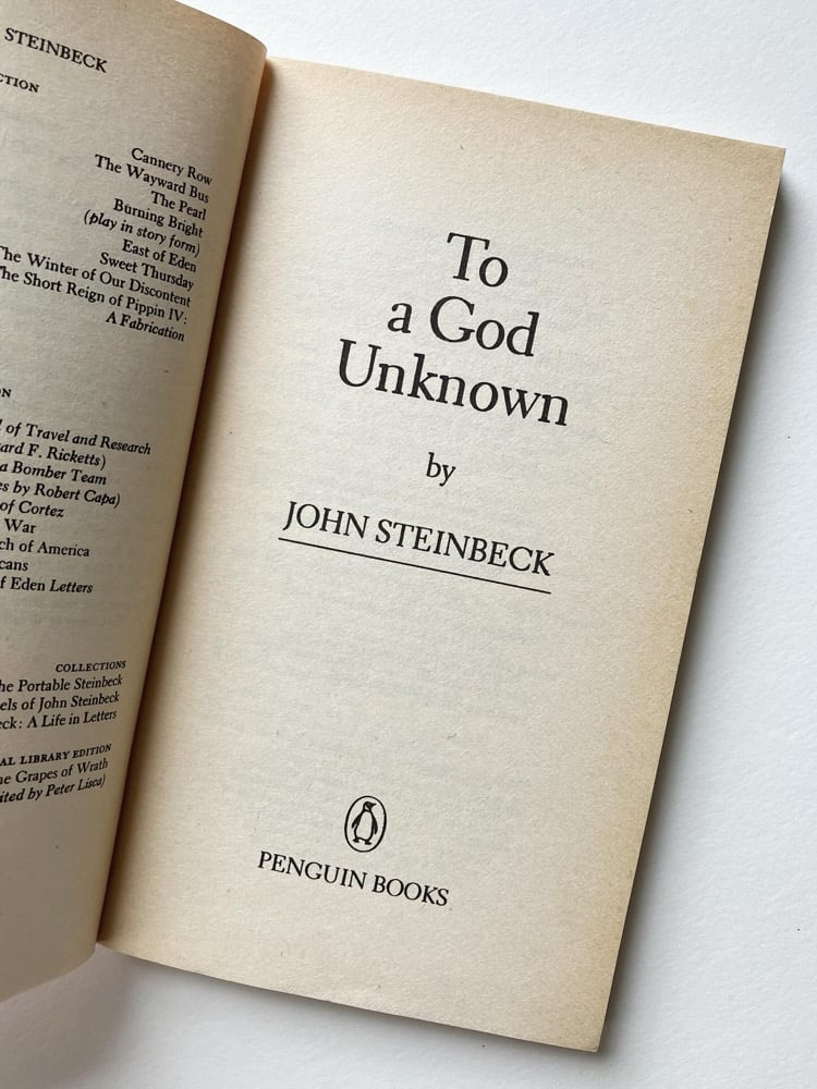 Two Penguins by Steinbeck Image 4
