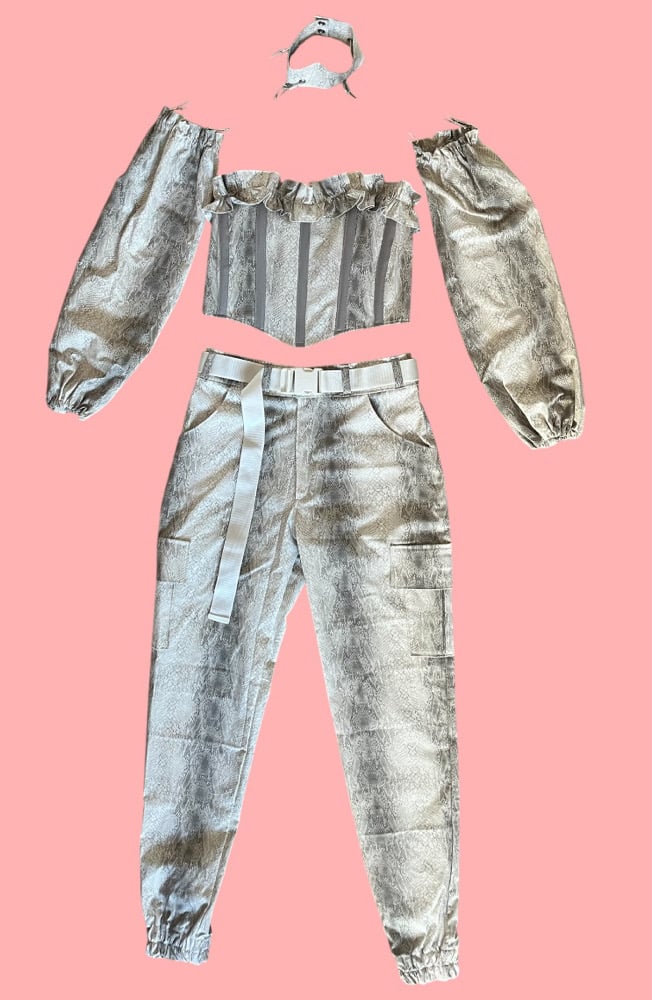 Image of Silver Snake corset