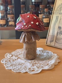 Image 9 of Mysterious Mushrooms