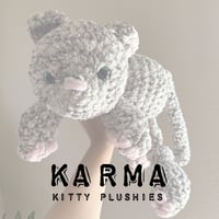 Image 1 of Karma Kitty