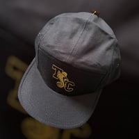 Cobra TC cap