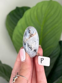 Image 16 of DENDRITIC OPAL SHIVAS