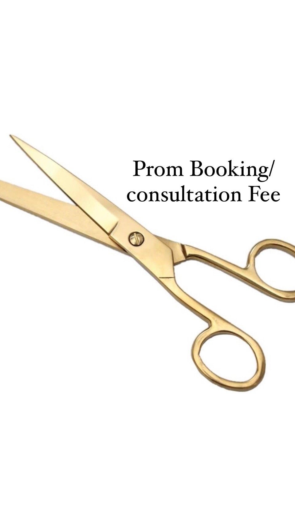 Image of Prom Booking (consultation) Fee 