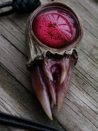 Image 22 of Crimson Oracle Snaggletooth Pendant OOAK