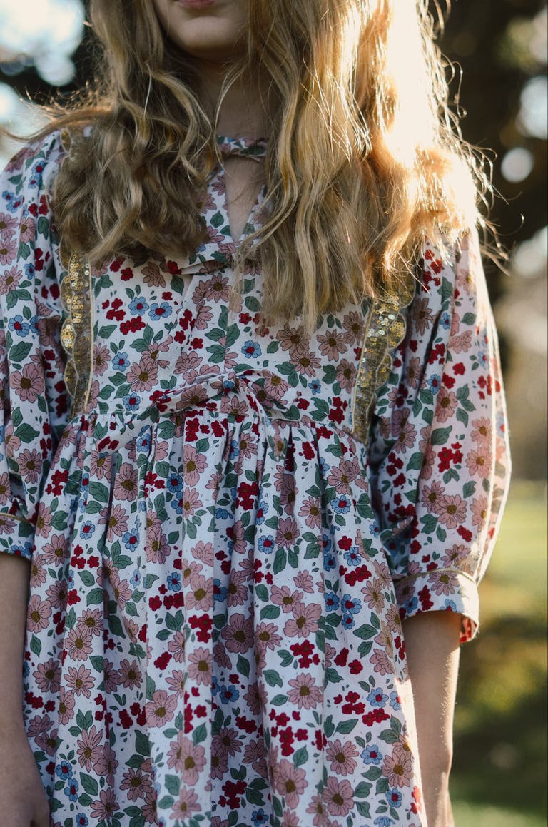 Noelle dress Image 2