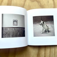 Image 6 of Alec Soth - Dog Days Bogotá (Special Edition w/print)