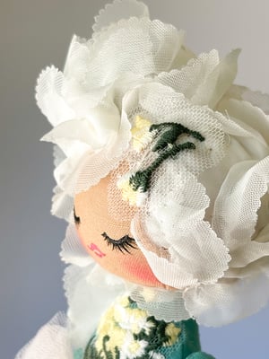 Image of Floral Collection Little Doll Lily