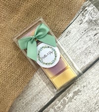 Image 1 of Alien scented snap bar