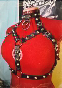 Image 4 of "STAR" conchos harness with studs