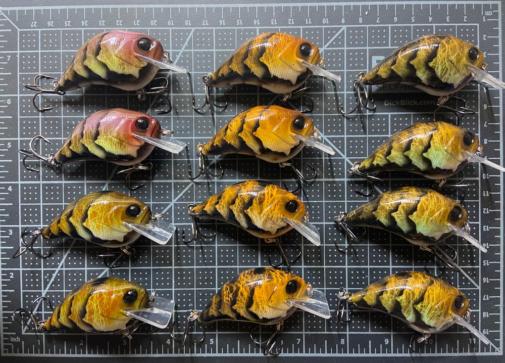 2.5 Widebill Craw
