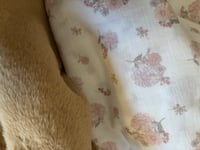 COMMANDE COUVERTURE STRAWBERRY