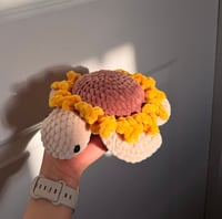 Image 1 of Sunflower Turtle