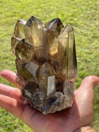 Image 2 of Smoky Citrine Points Cluster #1876