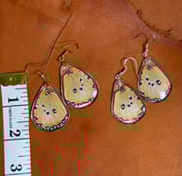 Image 2 of African Monarch Hindwings