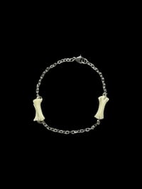 Image 1 of wild cat bone bracelet
