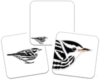 Image 4 of Black and white Warbler - No.45 - UK Birding Series