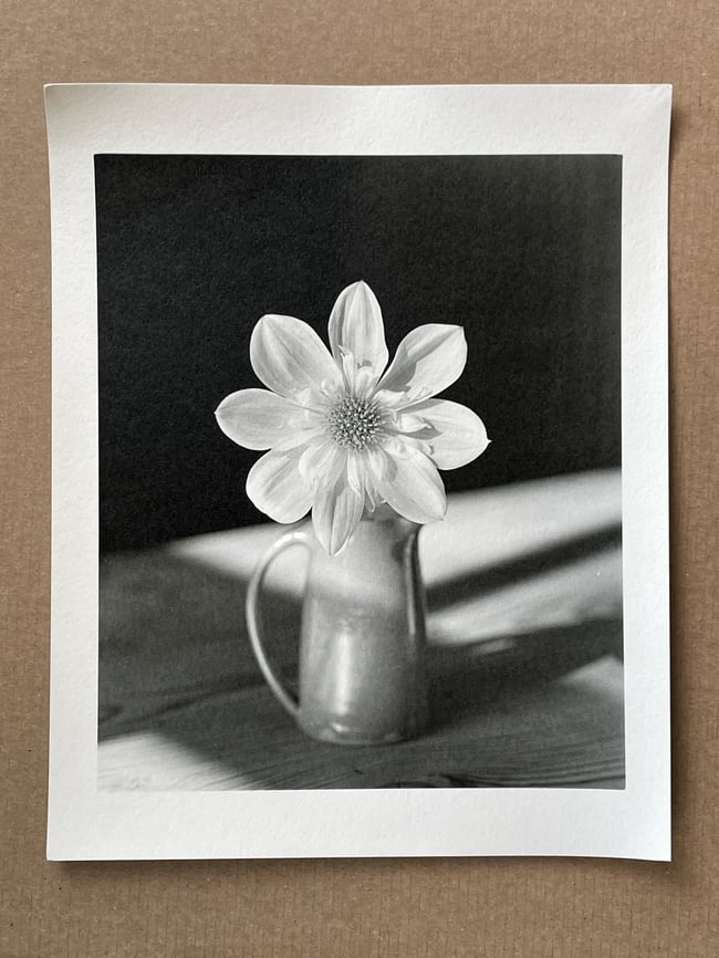 Dahlia in a Lucy Rutter vase. 