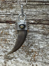 Image 1 of Badger claw/ black star diopside 