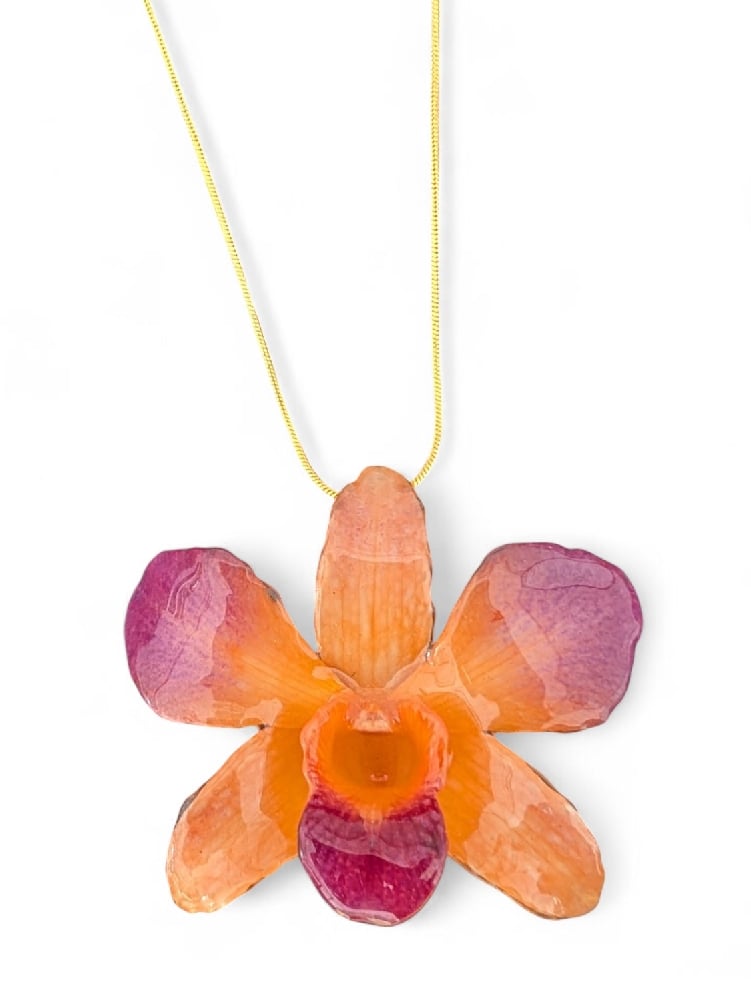 Image of Dendrobium Orchid Pendants (Pinks & Orange)
